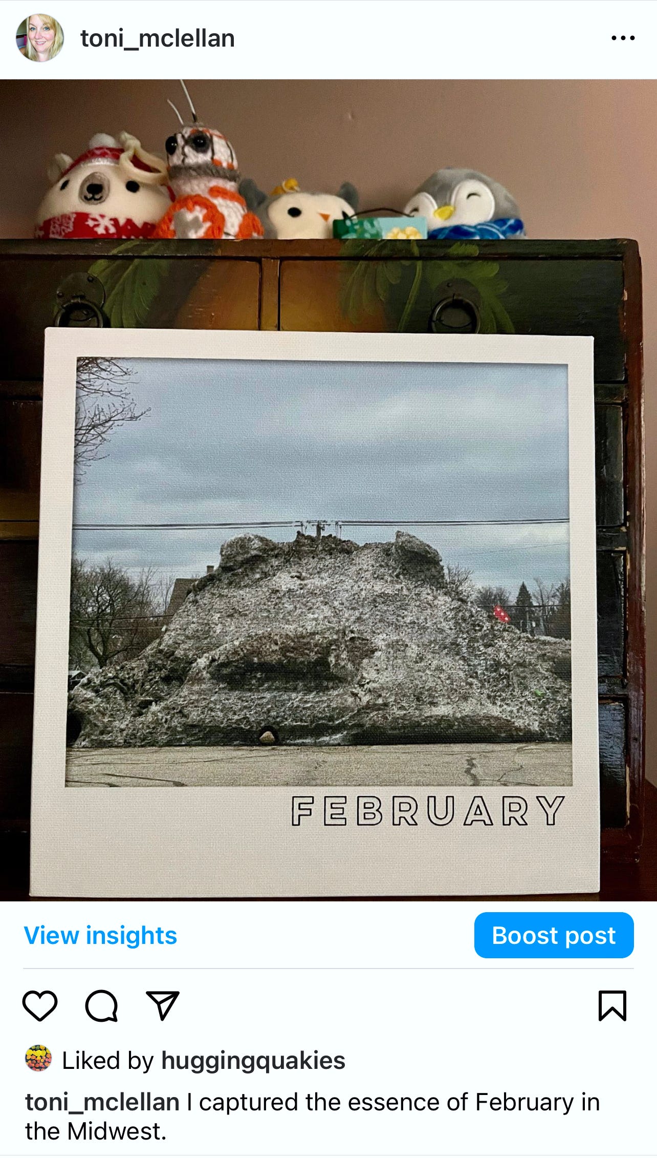 A photograph of a dirty snow pile that resembles Jabba the Hutt, captioned FEBRUARY