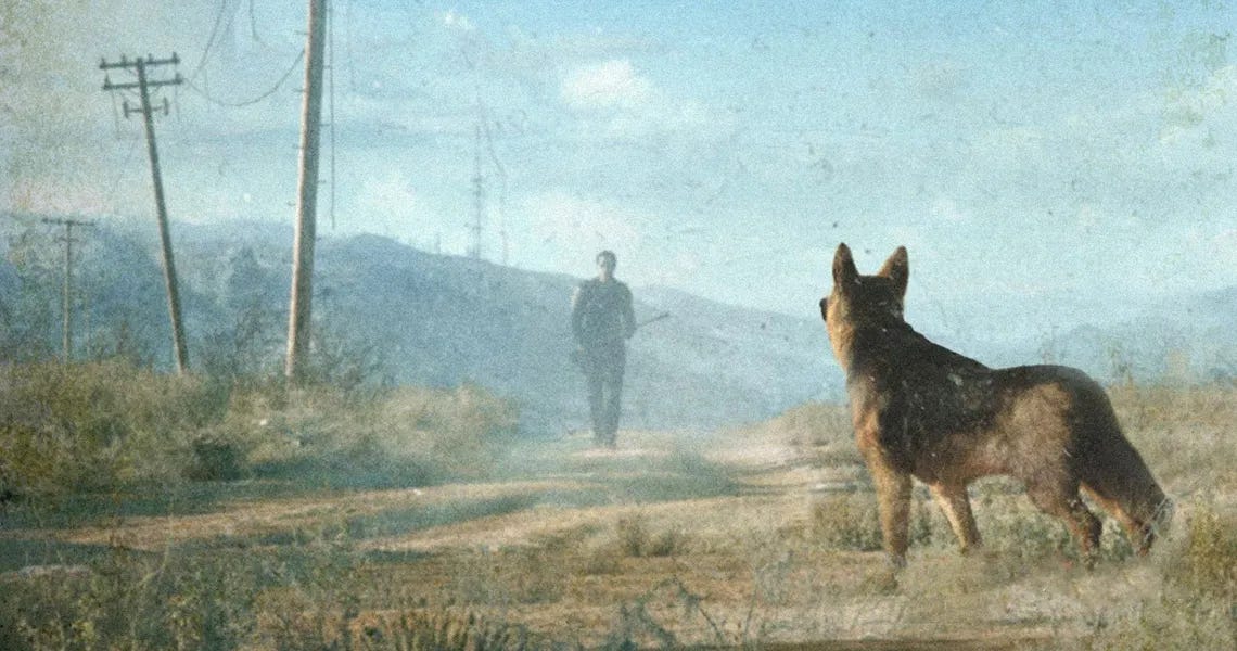 uma foto com textura desgastada e estética pós apocaliptica do cachorro Dog Meat esperando o Sobrevivente Solitário, num descampado desértico. Essa cena é uma reprodução de Fallout 4