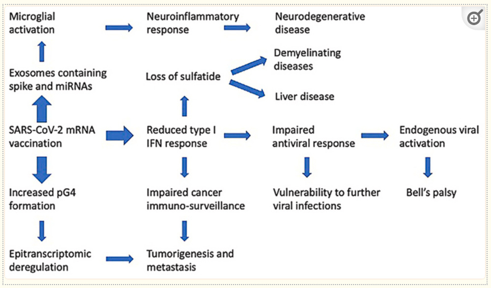 “Turbo Cancer” Post COVID-19 Vaccination? Https%3A%2F%2Fsubstack-post-media.s3.amazonaws.com%2Fpublic%2Fimages%2Ff7c2be8f-dafd-407d-850b-bc7e80e748ee_999x586