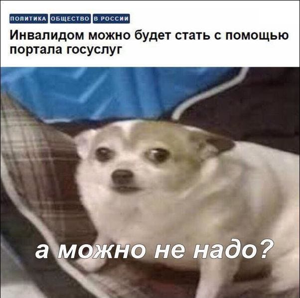 Цифровизация делает нашу жизнь удобнее, говорили они Цифровизация делает нашу жизнь удобнее, говорили они