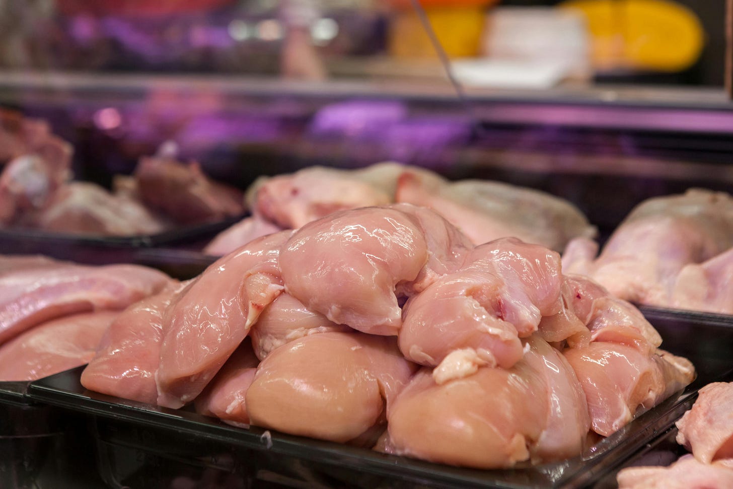 Raw Meat on Display in Supermarket · Free Stock Photo