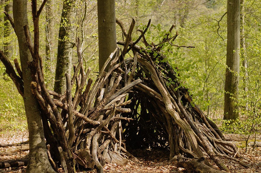 Nature - Construire une cabane dans les bois -