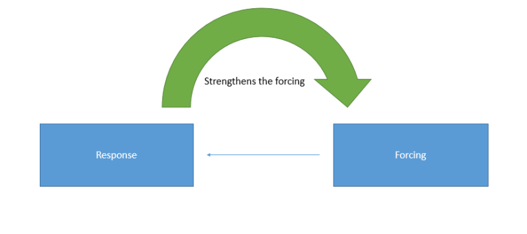 A box labelled "Forcing" drives a second box labelled "Response" which then feeds back to "Strengthen the forcing"