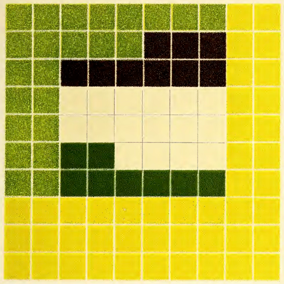 A gridded drawing similar to a tiled surface, with blocks of colors rendered in colored pencil. There are areas of grass green, pine green, very dark brown, bright lemon yellow, and cream. The image is a color analysis chart by Emily Noyes Vanderpoel, an illustration from her 1903 book Color Problems.