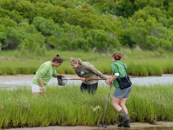 Norman Bird Sanctuary selected as the location for the upcoming 2024 RI BioBlitz