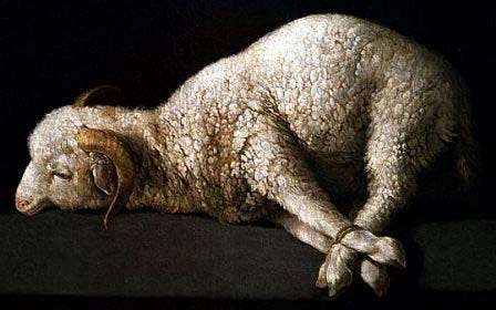 About The Paschal Lamb