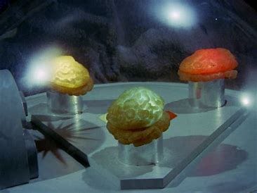 Image result for the gamesters of triskelion