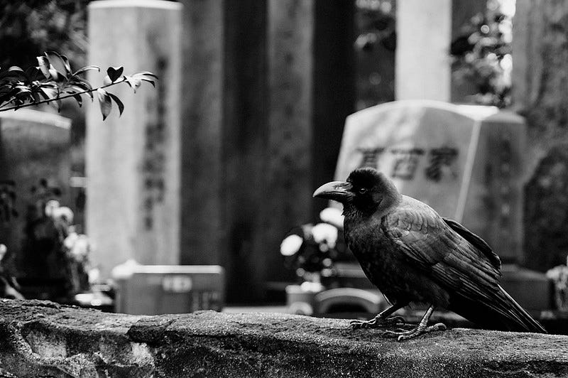 Monochrome photo of a crow perched on an old wall in a cemetery