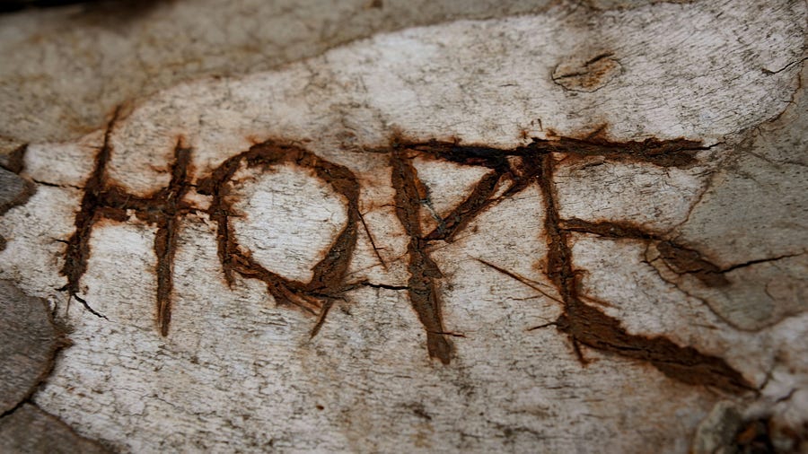 The word “HOPE” carved on stone.