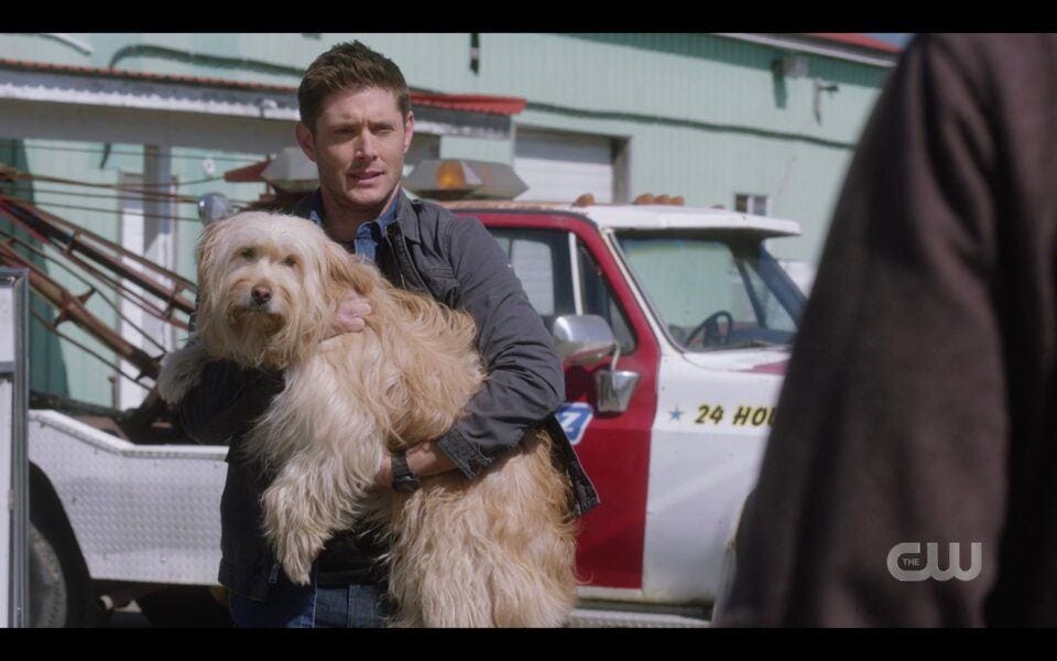 SPN Dean Winchester holding big shaggy dog Miracle 1519