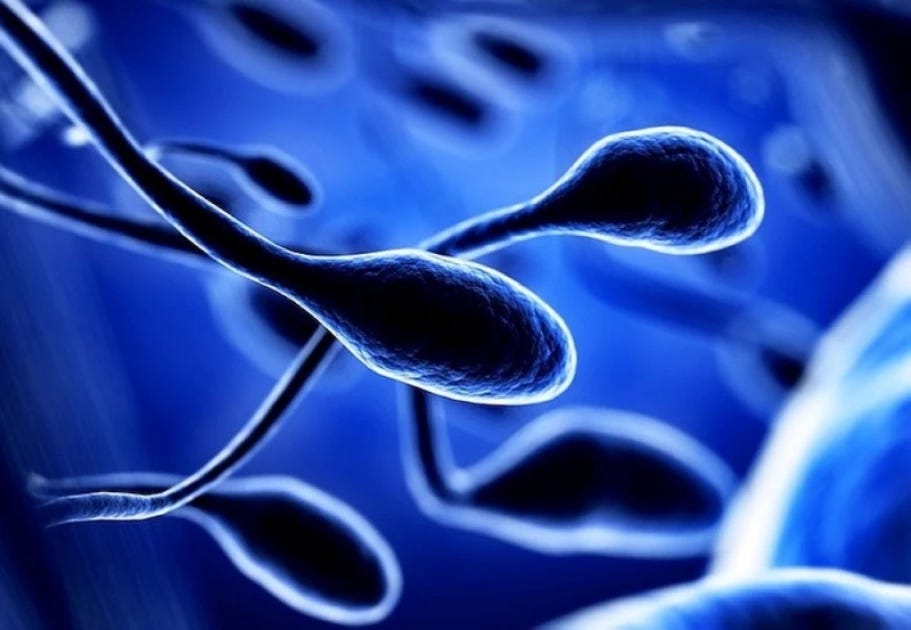 Woman, 62, wins right to take dead husband's sperm