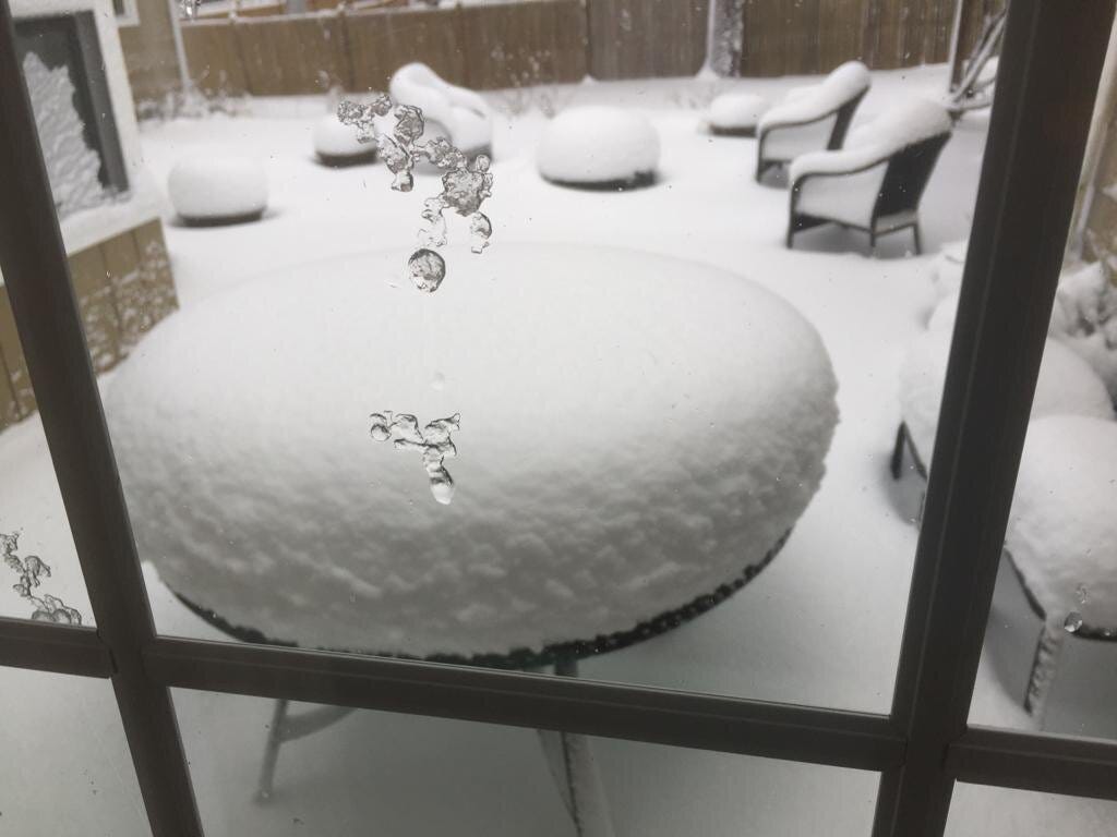 Photo courtesy of Scott Cramer