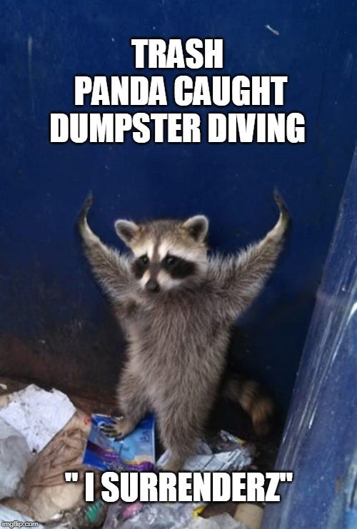 Dumpster Diving Trash Panda | TRASH PANDA CAUGHT DUMPSTER DIVING; " I SURRENDERZ" | image tagged in trash panda surrenders,trash panda,dumpster diving,dumpster diving trash panda,racoon,dumpster diver | made w/ Imgflip meme maker