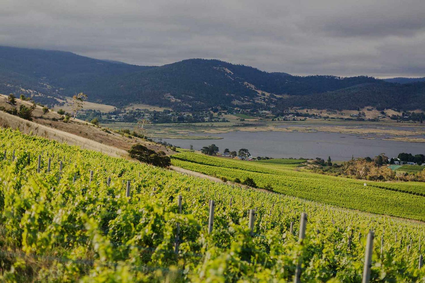 This Island Off the Coast of Australia Is a Hidden Paradise for Sparkling  Wine Lovers
