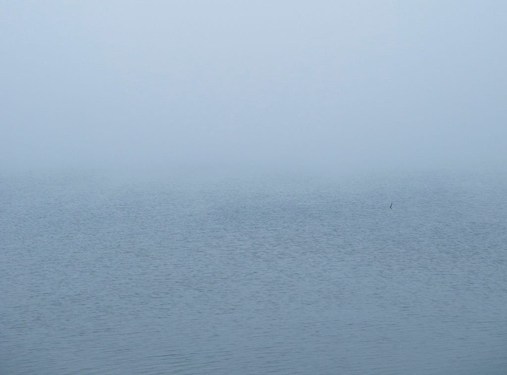 Fog on calm water