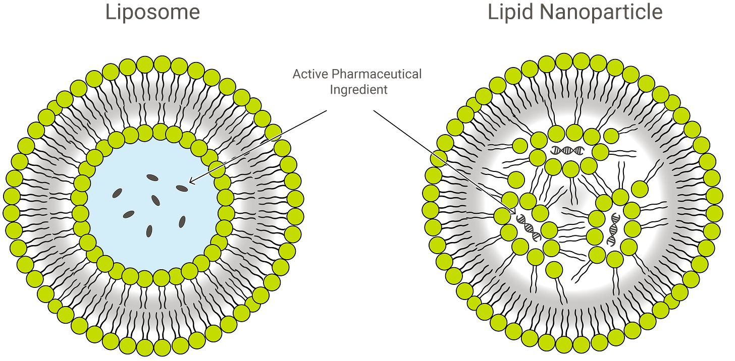 Liposome and LNP_green_simple@4x-1
