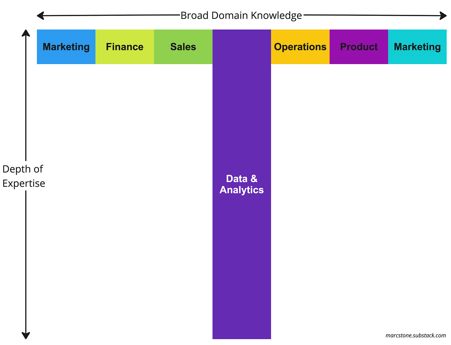 Data team T-shaped leader experience