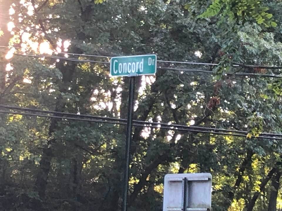 May be an image of tree, road and text that says 'Concord Dr'
