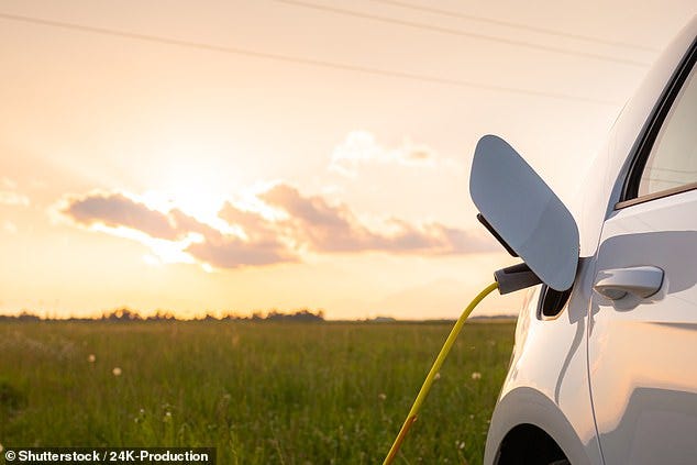 The Government has been accused of squandering nearly half a million pounds a year sending unnecessary tax reminders to electric car owners who don't pay vehicle excise duty