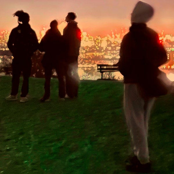 Secret Life album cover: Four people are gathered at a grassy park at sunset overlooking the city's lights