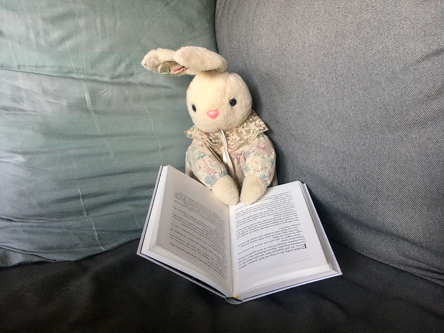 Ein Kuschelhase sitzt mit einem geöffneten Buch in der Ecke eines mintgrün-grauen Sofas und schaut in die Kamera.