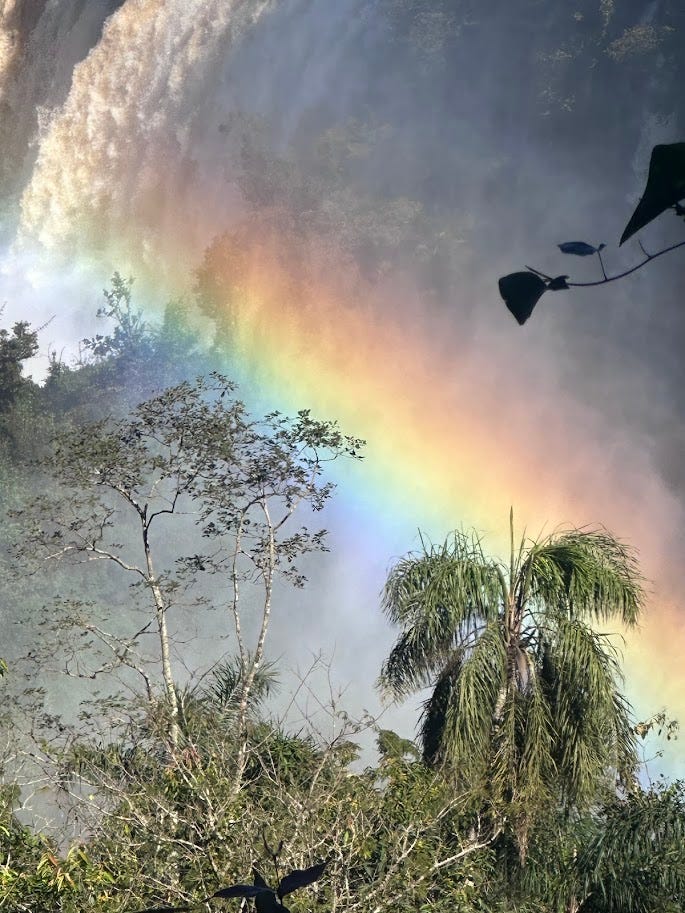 Rainbows of Iguazu, by Joy Victory