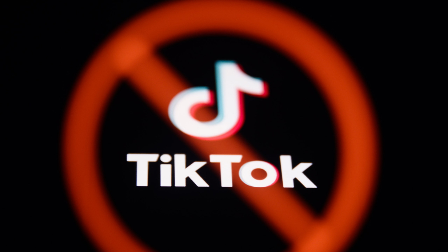 TikTok Ban Would Restrict Access to News, Advocacy, Young People Say | Teen  Vogue