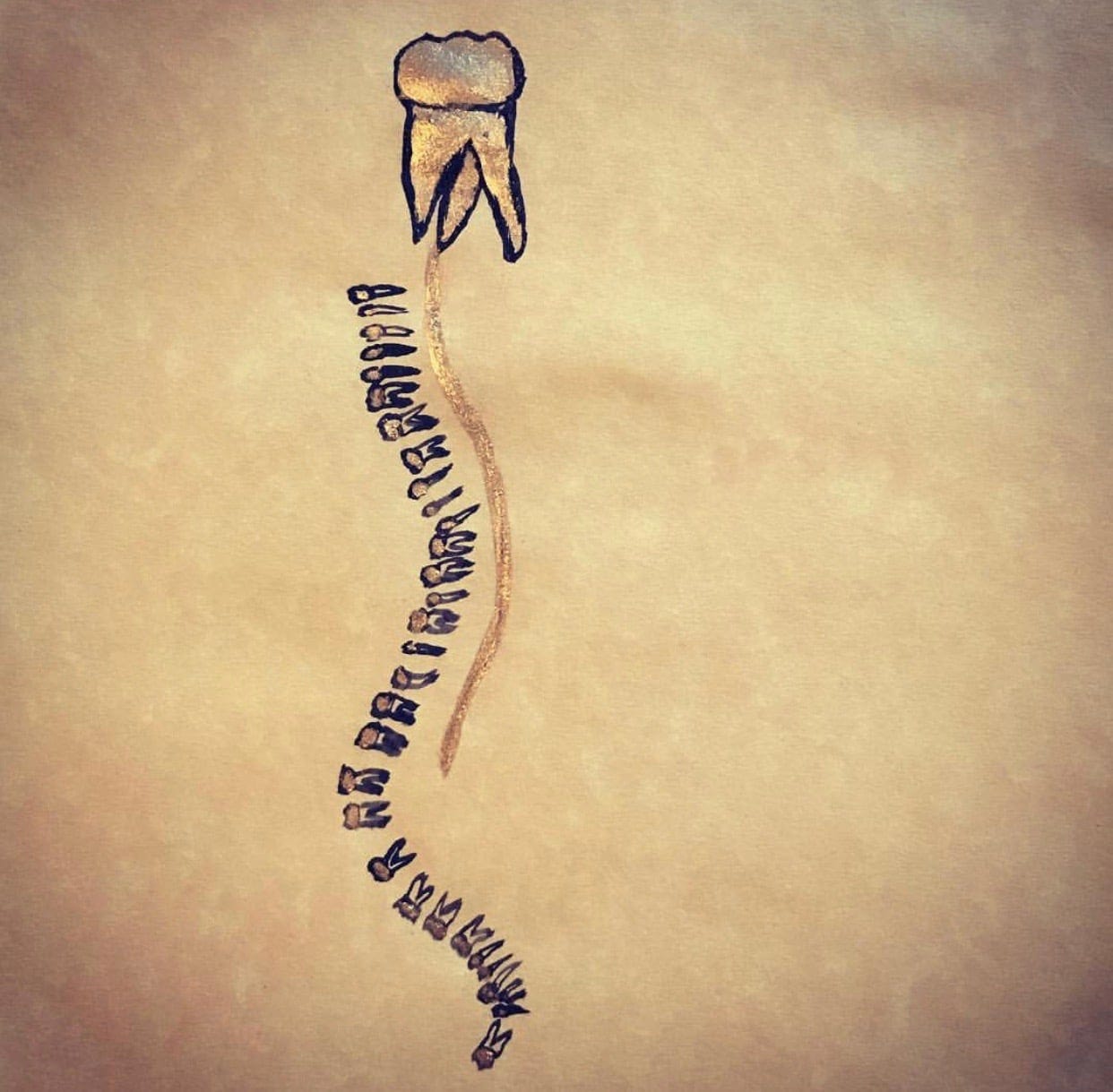 A drawing of a backbone, spinal cord and brain, with the vertebrae and brain represented as golden teeth, outlined in black iron gall.
