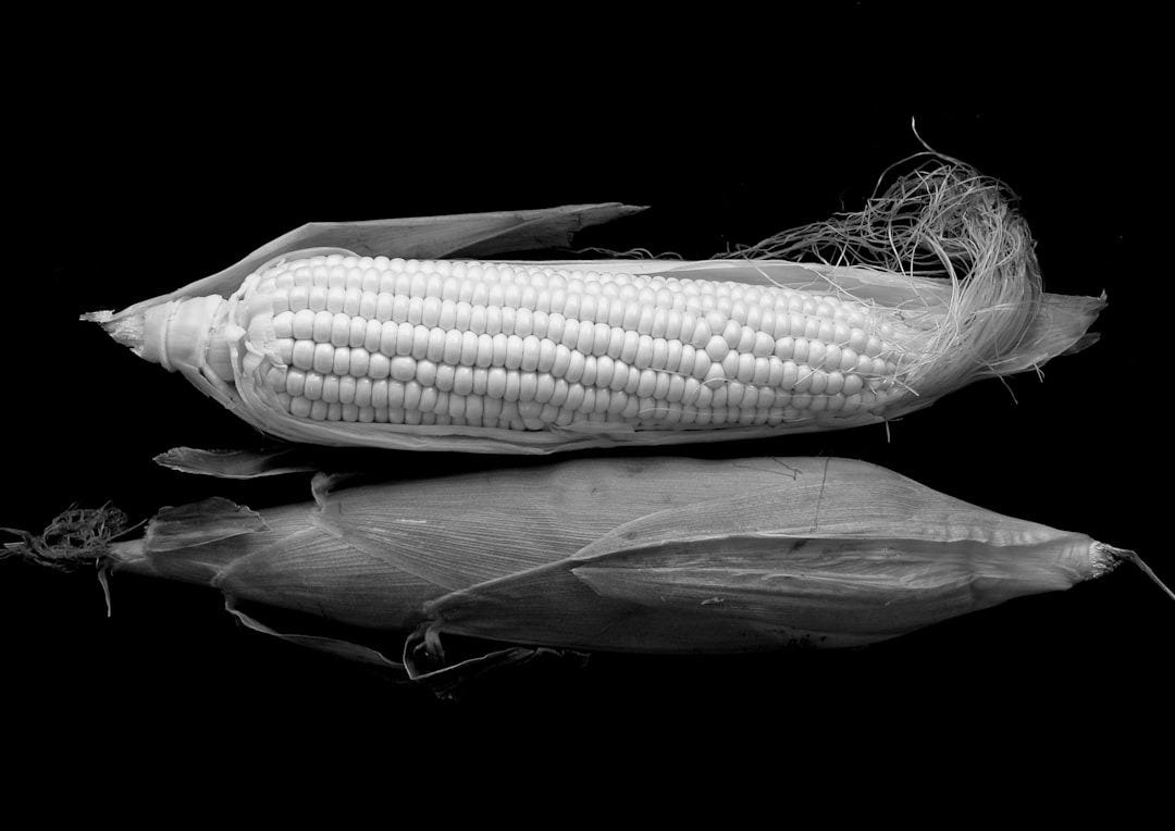 grayscale photo of corn on black surface