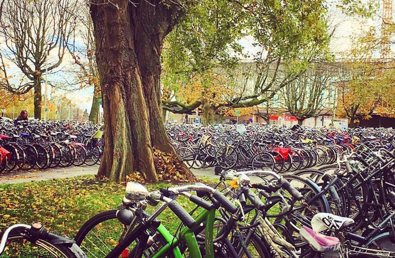 Holanda e as bicicletas