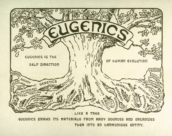 Engineering American society: the lesson of eugenics | Nature Reviews Genetics Engineering American society: the lesson of eugenics | Nature Reviews Genetics