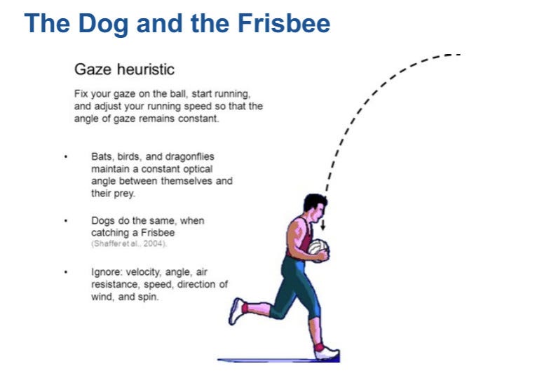 Gaze heuristic diagram of man catching volleyball, notes this is how humans and animals do this.