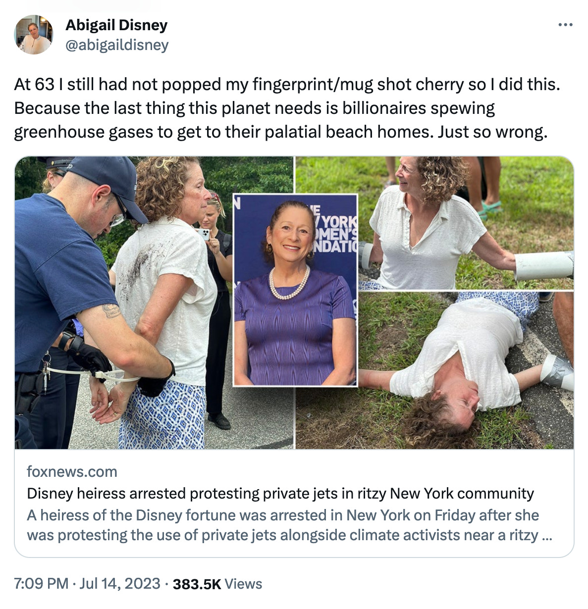 A tweet from Abigail Disney that says, "At 63 I still had not popped my fingerprint/mug shot cherry so I did this. Because the last thing this planet needs is billionaires spewing greenhouse gases to get to their palatial beach homes. Just so wrong." She has linked to a Fox news article with the headline, "Disney heiress arrested protesting private jets in ritzy New York community".