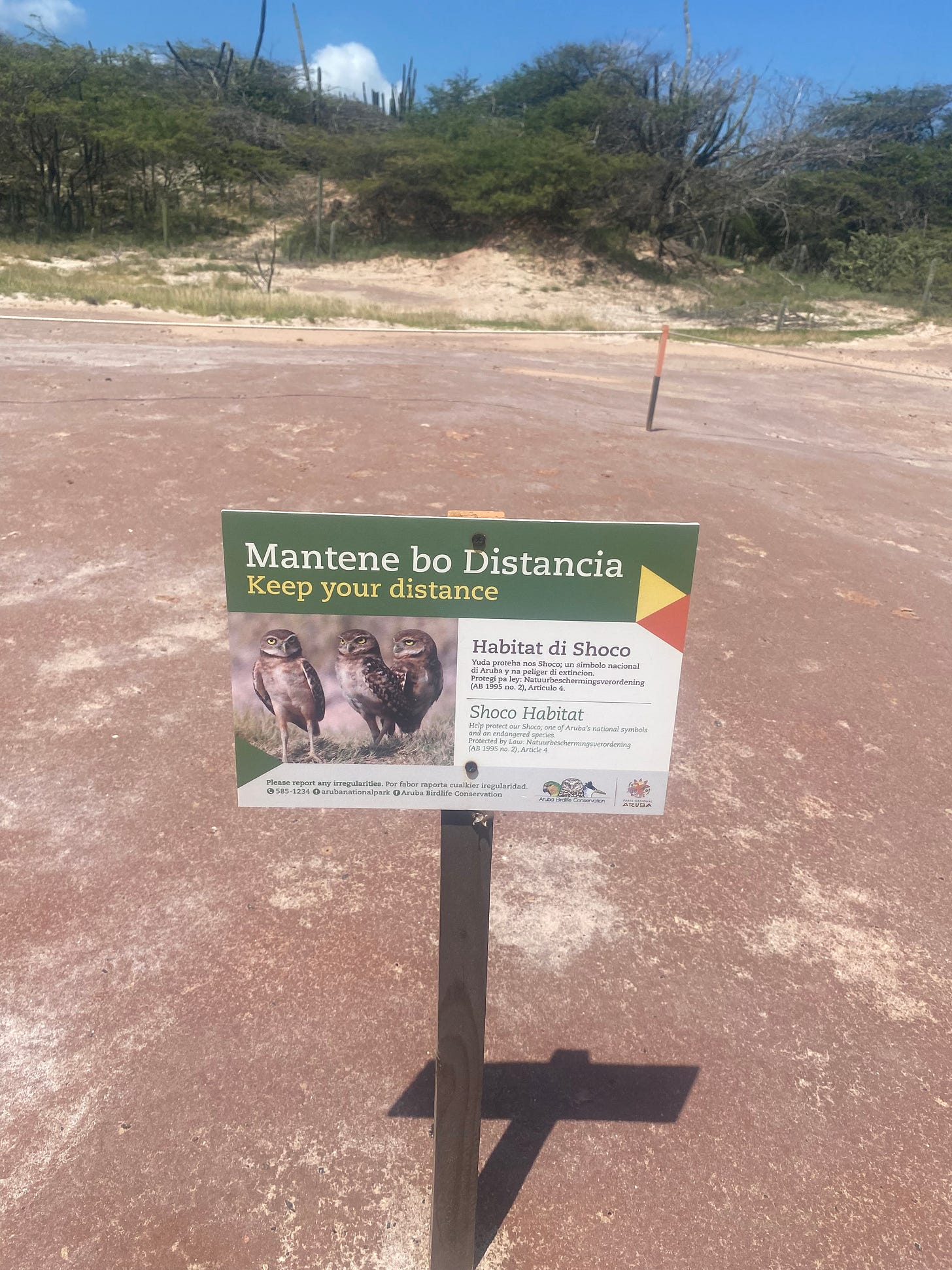 Photo of a "Keep Your Distance" sign in the hard reddish dirt in an arid landscape in Aruba. Shoco, Aurba's endangered burrowing owls, are pictured on the sign. Sky is bright blue, and some green trees and a cactus are visible in background, as is a rope indicating a demarcation area for owl habitat.