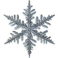 Realistic Snowflake Clipart JPG PNG 1007 - Etsy