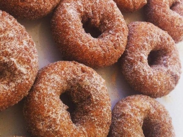 ‘Six Picks’ Fall Treats –  The best apple cider donuts in Newport County and beyond