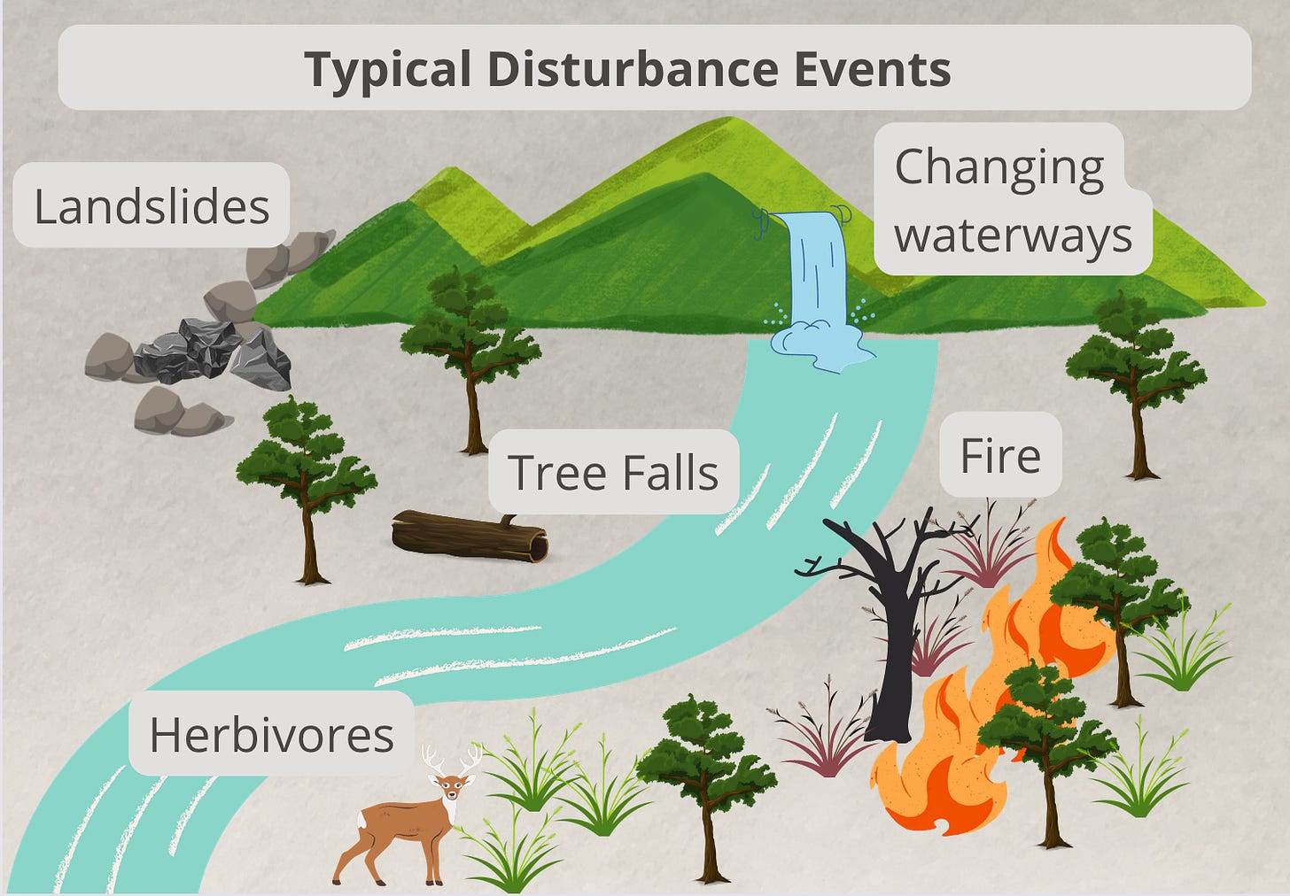 A landscape image titled "Typical disturbance events" showing a mountain with a waterfall that flows into a river passing through some woods. Different disturbance events are highlighted in the image. 

The waterfall is labeled "Changing Waterways", some rocks tumbling down the mountain are labeled "landslides", a dead tree in the woods is labeled "tree falls" a deer is labeled "herbivores" and a fire moving through the woods is labeled "fire"