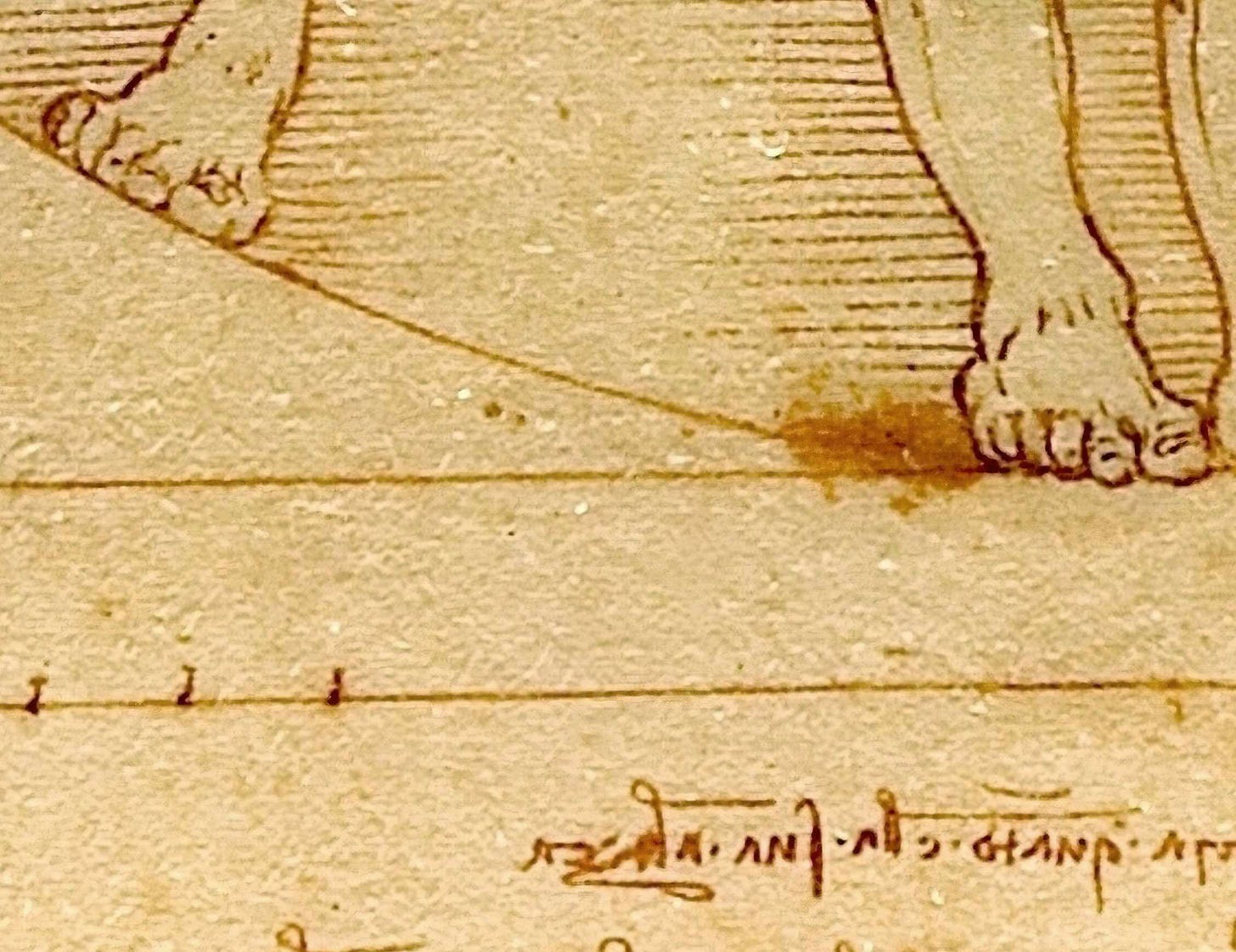 Detail of feet and underlying text of Vitruvian Man by Leonardo da Vinci