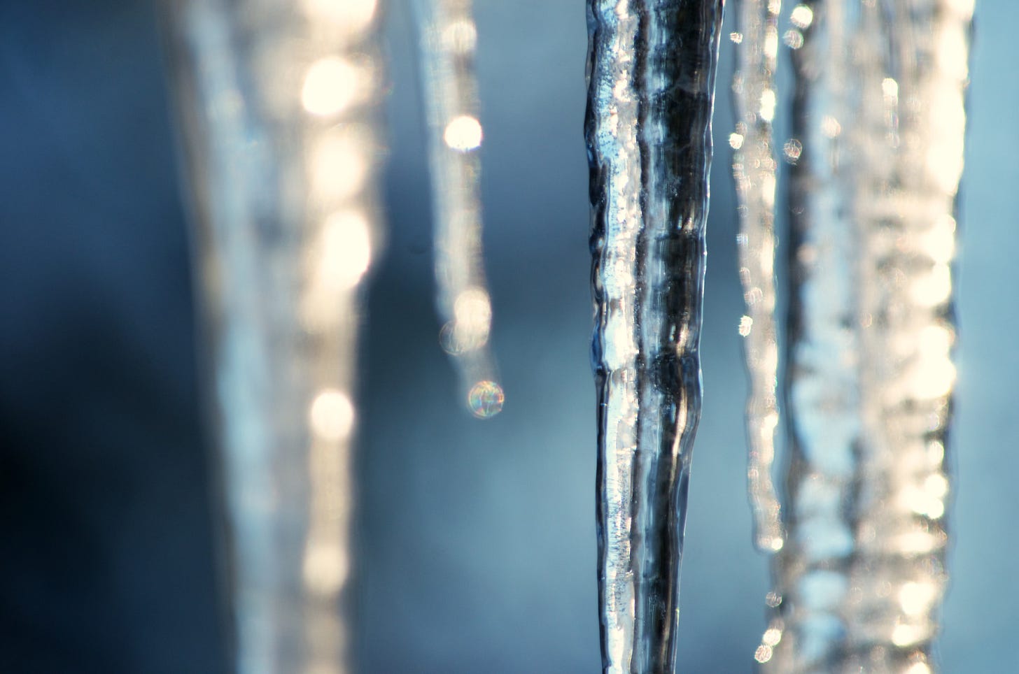 A cluster of icicles reflects blue evening sky and golden setting sunshine.