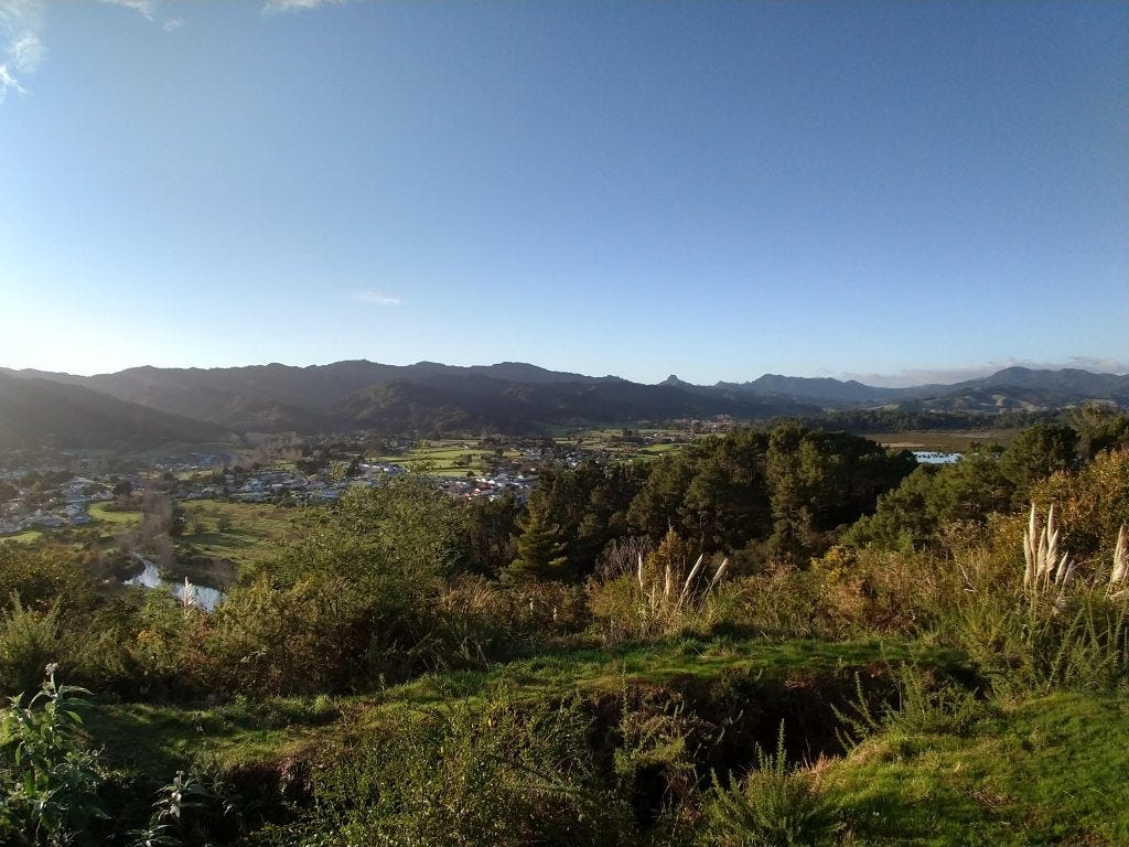 Kauri Block pā site inland view