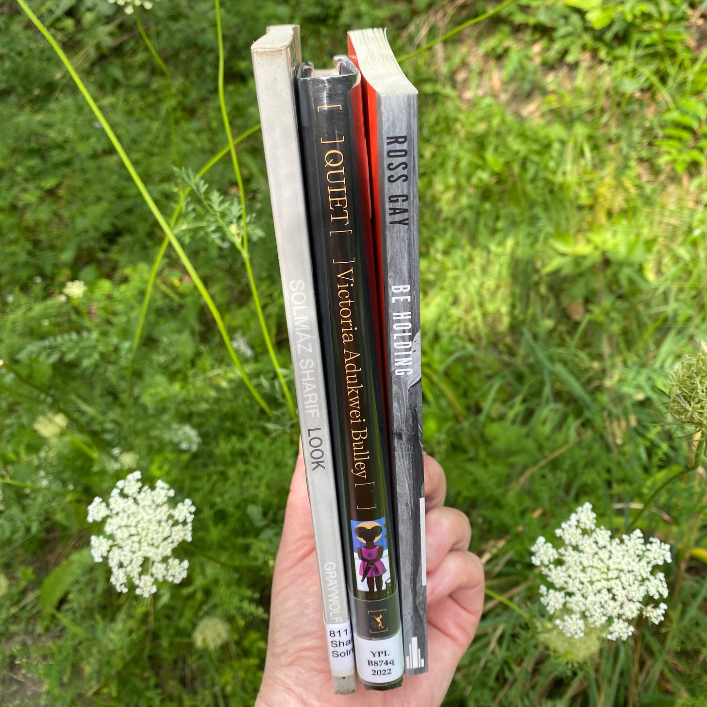 I am holding three poetry collections in one hand, spines facing out, between two stalks of Queen Anne’s Lace in a grassy field.