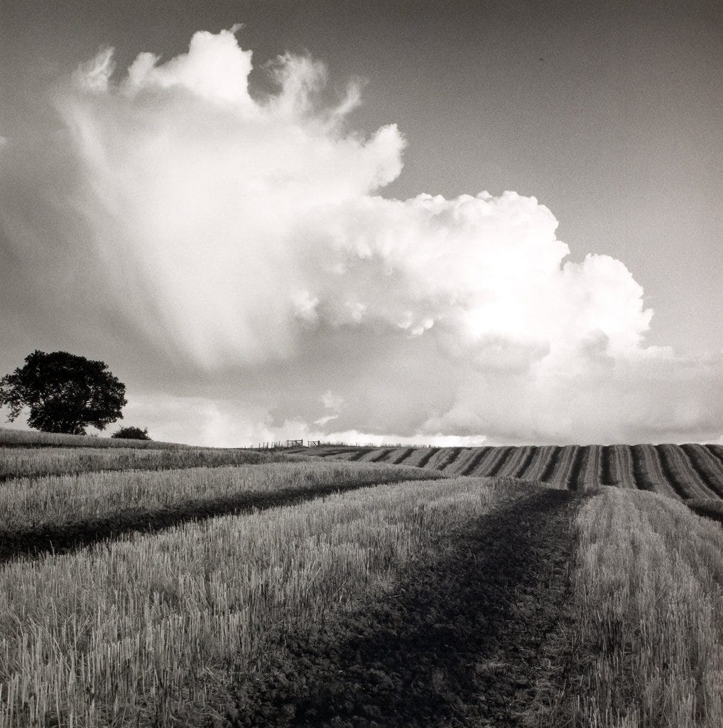 Large White Cloud near Bilsington, Kent, 1981. © Fay Godwin