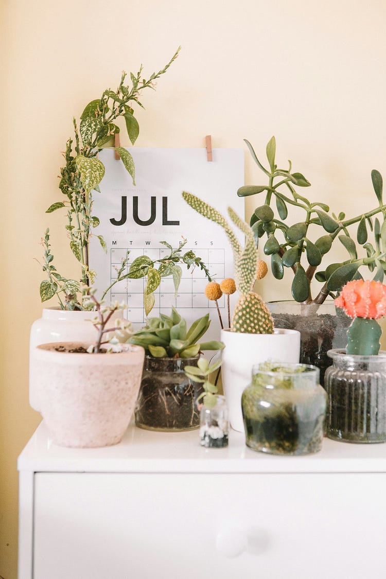 Calendar for July behind vases of flowers.