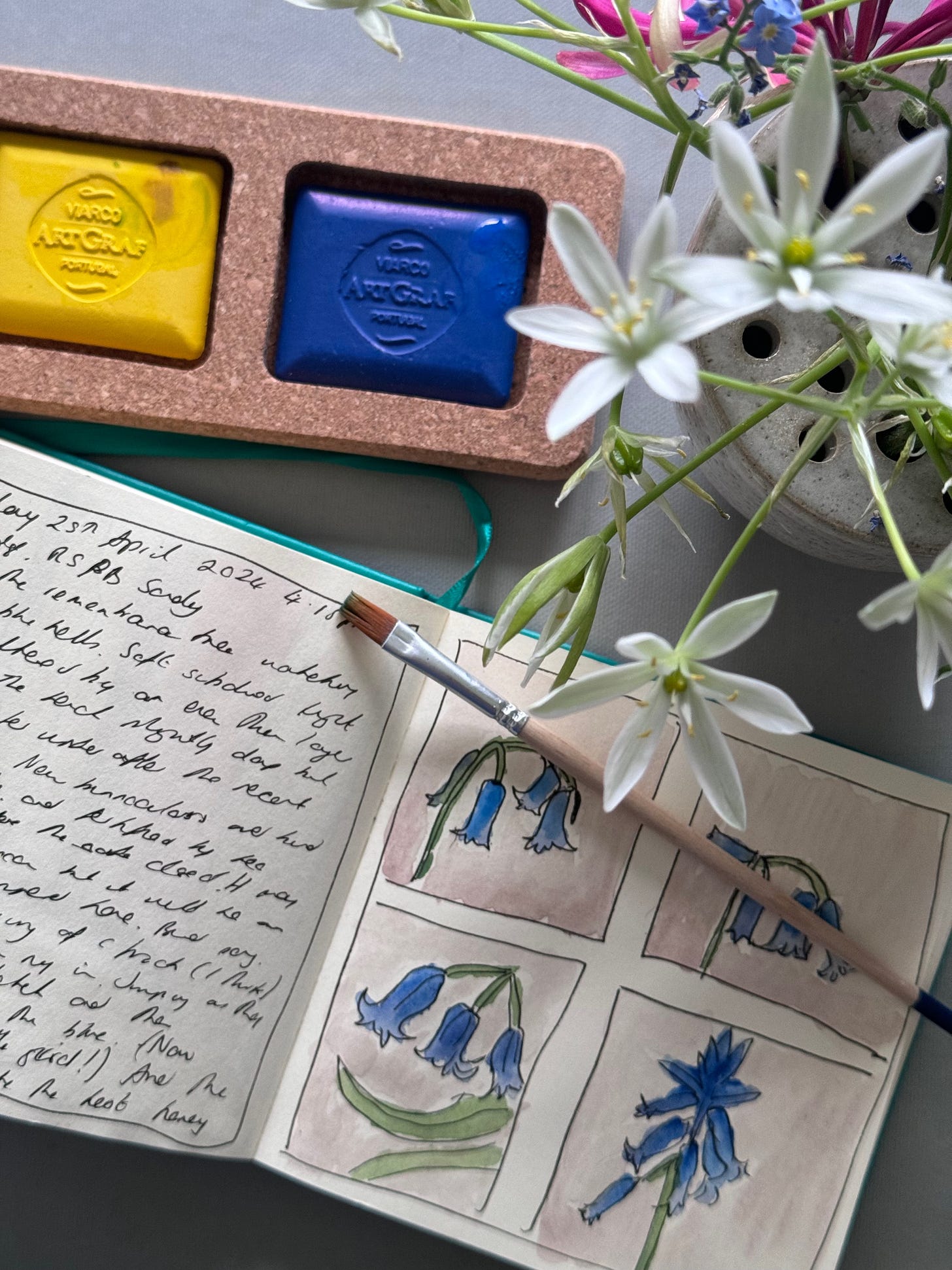 Small square sketchbook on a table. Left hand side shows writing which is transcribed in the text above. Right hand has a paint brush laying across the page. The page has four pen sketches of bluebells which have been painted. Also on the table are yellow and blue paint pigments and a vase of white Star of Bethlehem flowers.