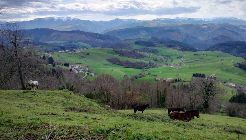 Etapa 4 del Camino Primitivo entre Tineo y Borres