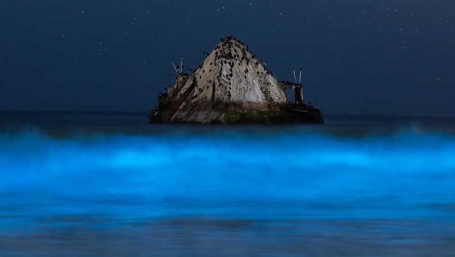 photo taken at seacliff state beach shows blue glowing waves, july 14