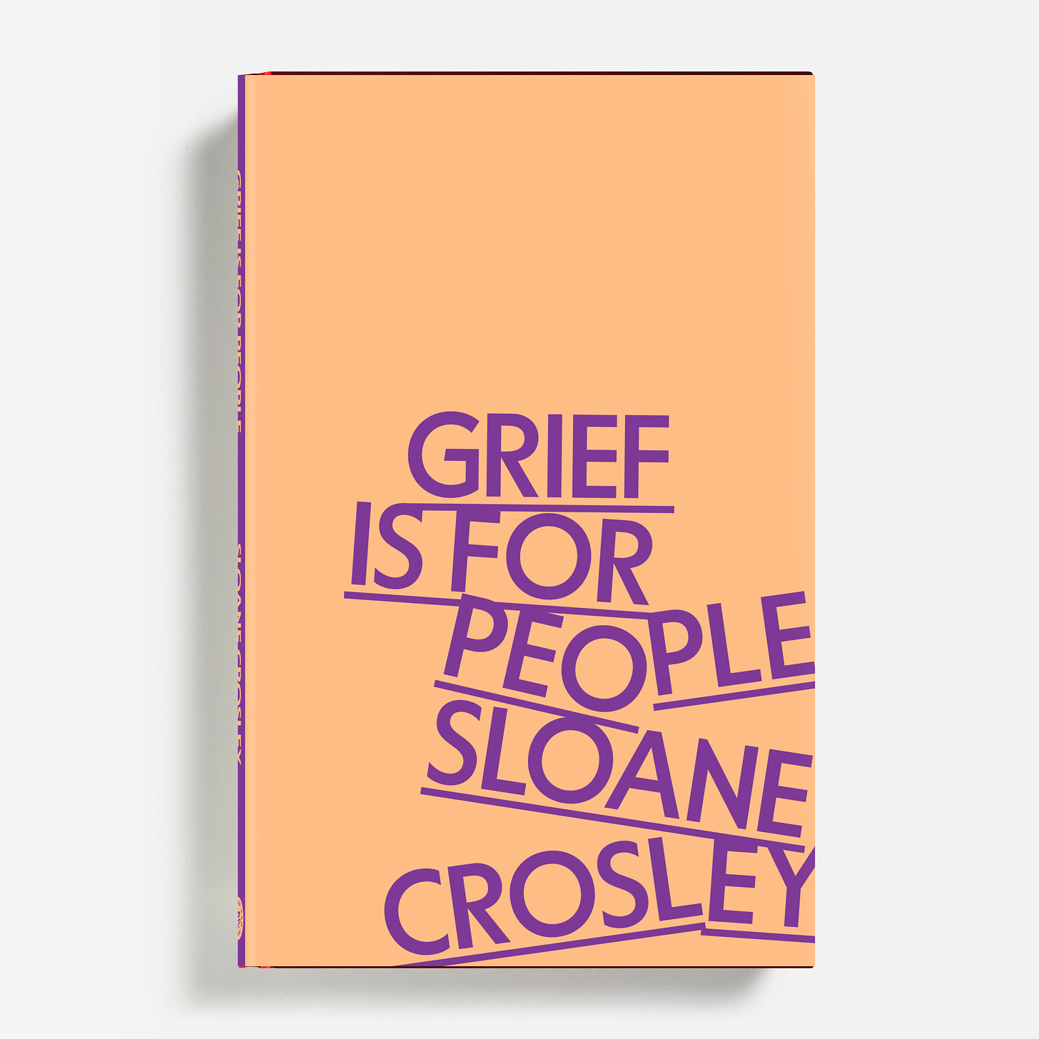 See the cover for Sloane Crosley's new memoir, Grief is for People. ‹  Literary Hub