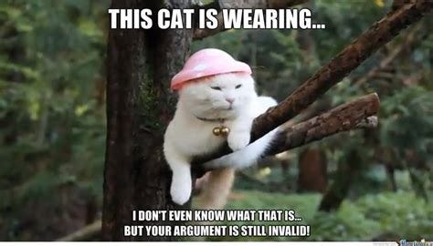 Your Argument Is Invalid | Argument, Memes, Animal memes