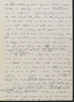 A handwritten chapter by Theodore Roosevelt on the bison
