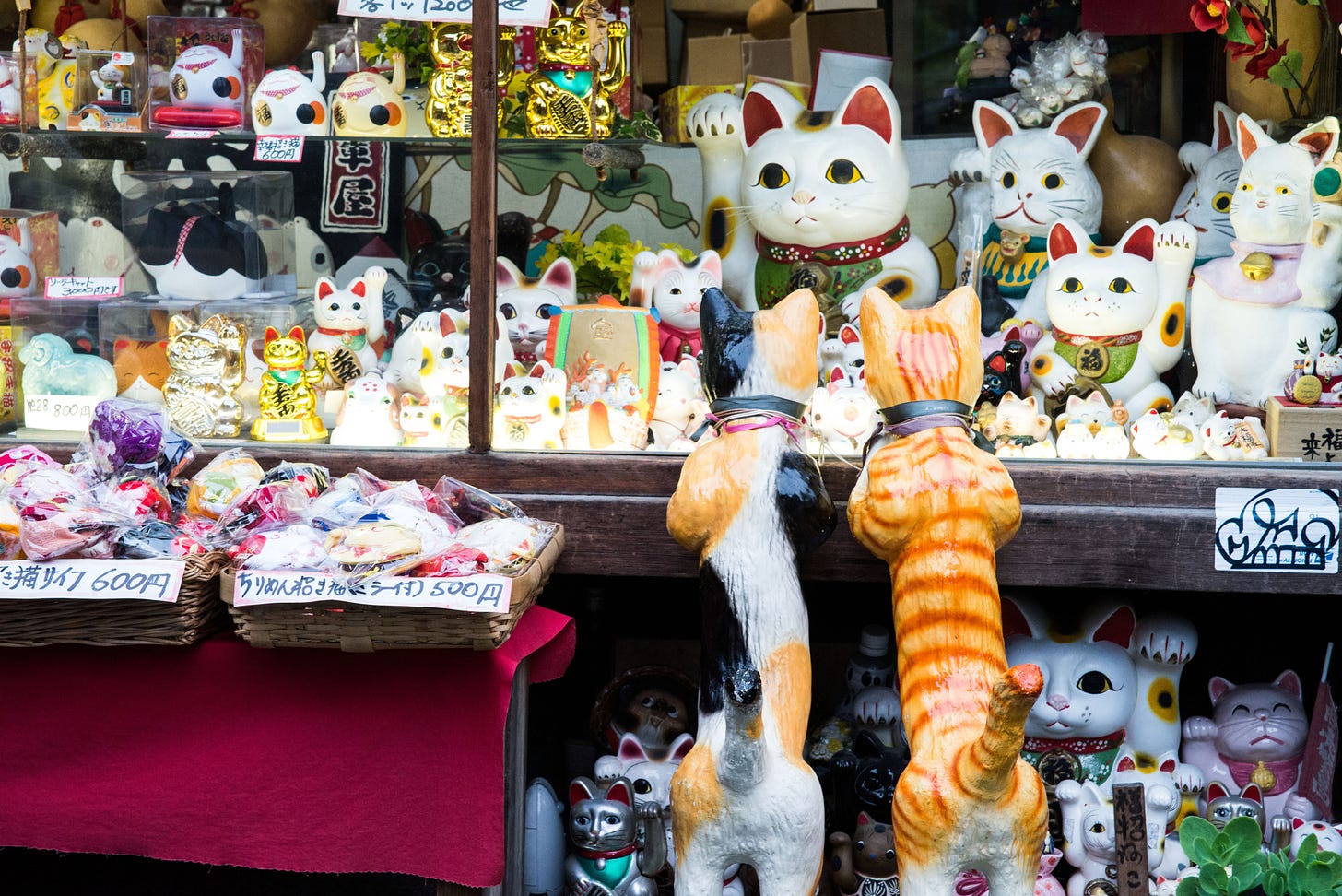Nekonomics, el fenómeno del gato en Japón
